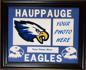 Hauppauge Eagles Double Panel